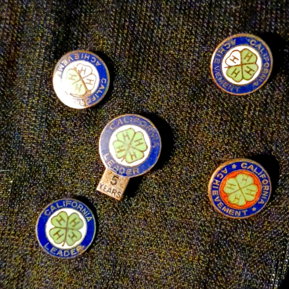 Vintage 4 H Acheivement Leadership Pins - California -five in collection